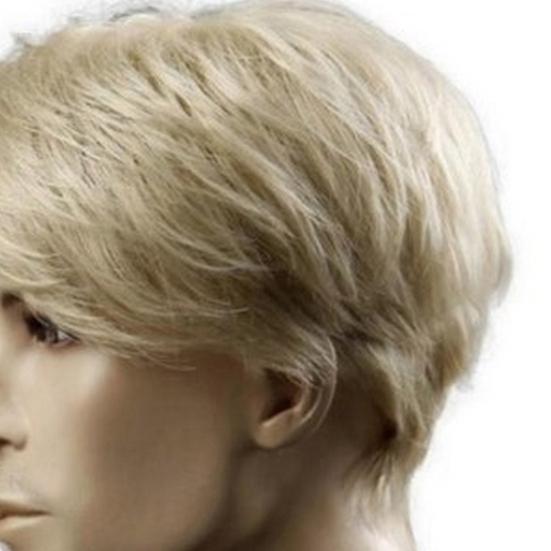 Men Short Wig Side Part Bangs Fluffy Natural High Temperature Fiber Handsome Male Blonde Synthetic Hair