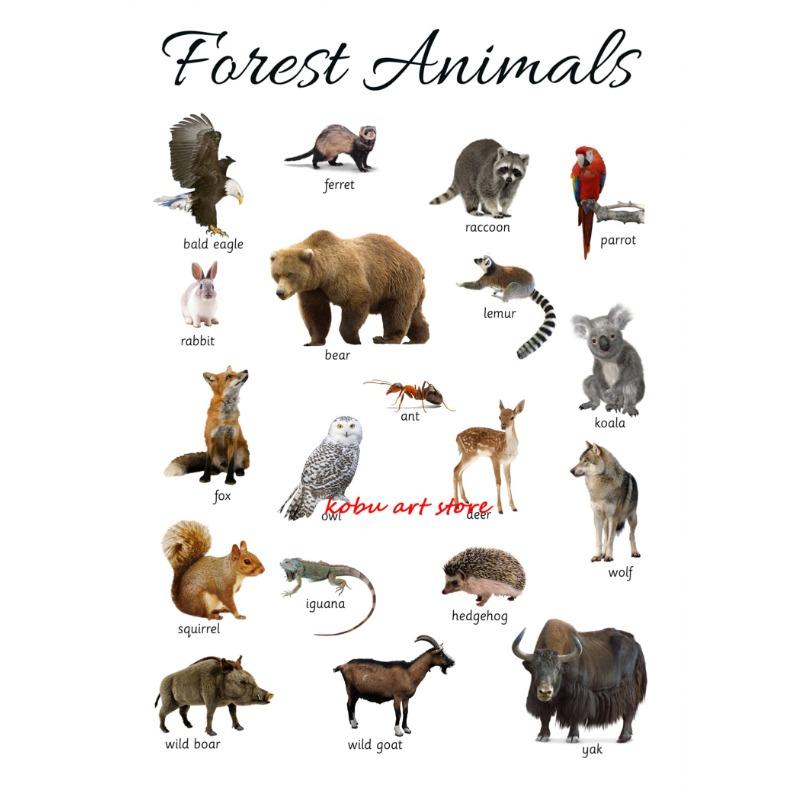 Farm Animals Ocean Animals Horse Educational Learning Poster Print Canvas Painting Wall Art Picture for Kids Nursery Room Decor