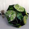 1pc Lime Slices Automatic Open/Close Umbrella with One-Touch Button, Compact Folding Canopy, Sturdy 8-Rib Windproof Design -026
