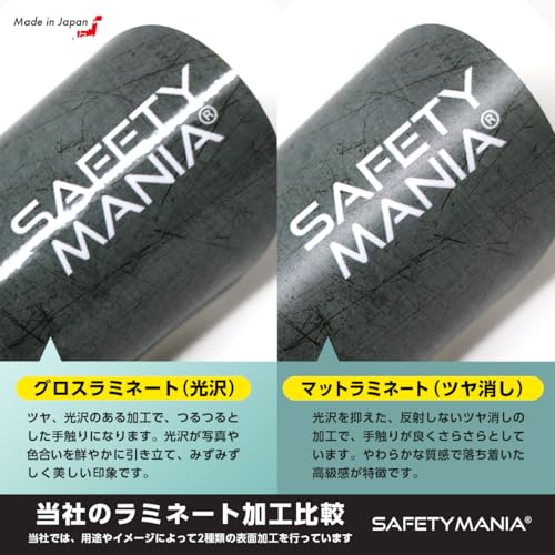 Fuel Filler Stickers for Regular, Premium Octane, Diesel, Light Oil, Kerosene, Water Resistant, Strong Adhesive, Fuel Indicator, Set of 2 (Diesel