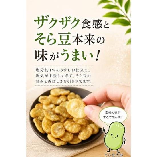 Broad Beans Fried Lightly Salted 350g Large Size Snack Resealable Bag Shinshu Good Things Lab