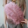 Ostrich Feathers 30-35Cm Wedding Road Guide Table Flower Ornament Ostrich Hair Decorative Clothing Accessories Diy