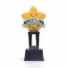 Star Trophy Decorative Award Professional Ornament for Students, Athletes, School Awards,