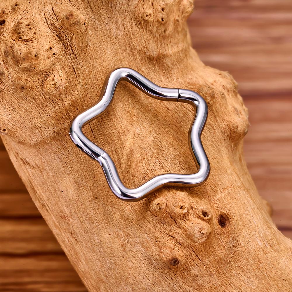 1/10 Stück Titan Stern Daith Ohrring Conch Helix Septum Piercing Clicker Segment Nasenring Helix Rook Ohrpiercings Schmuck für Damen