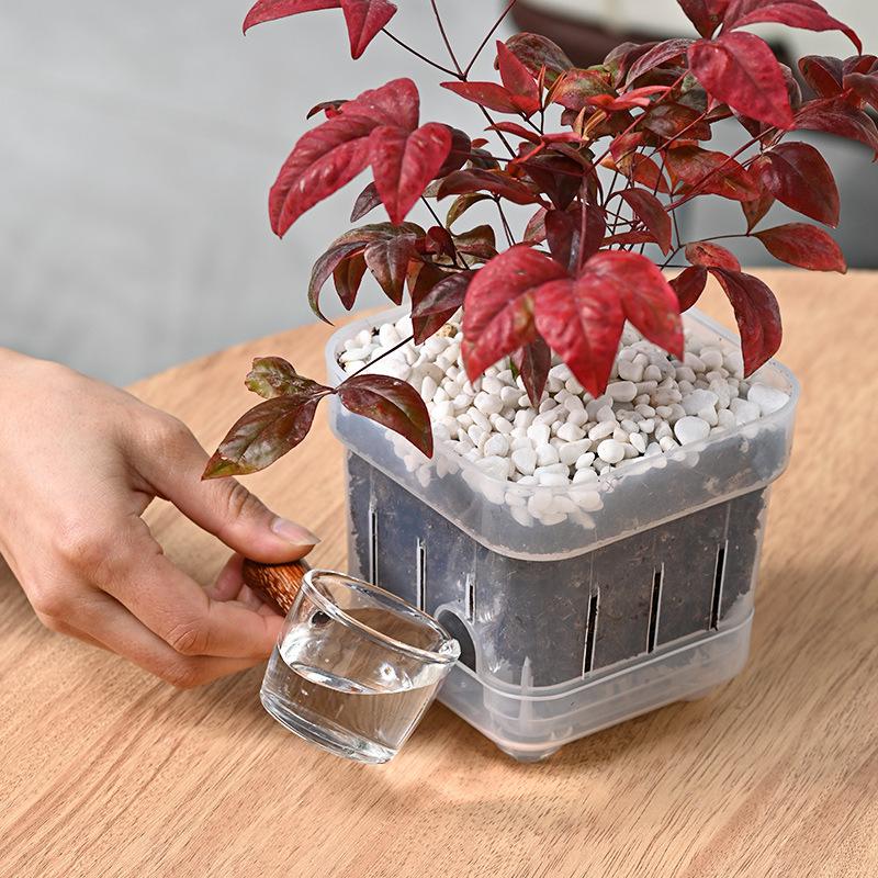 Square Root View Planter Pot Drainage Breathable Plastic Plant Holder for Home Indoor Garden Living Room Setups