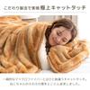 Gen of the chest of drawers Now a 2 Single Warming Cat Winter it's cat. Blanket, Pieces, +3.8℃ Sheet, Pattern, Fluffy, Warm, Washable, 80100133(99829)