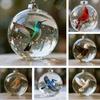 Acrylic Nature's BirdsOrnament Ornament Gift 7cm Xmas Tree Ornament Charm  New Year
