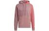 Sweatshirts Men's Pink Hooded Moderate Regular HZ9698