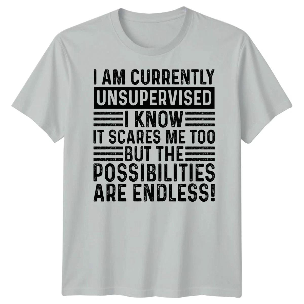 I Am Currently Unsupervised Sarcastic Quote Humor Mens Womens Graphic Tee 4XL