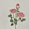 Simulated Rose Flower Realistic Appearance Easy To Manage Bright Color Reusable Artificial Flowers Home Decor