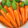 5/10Pcs Artificial Carrot Foam Vegetable Photo Prop Food Toy Mini Toys Decorations Party Favor Fake Vegetables