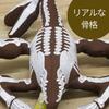Takeoff Bone Museum Pteranodon Plush with Realistic Embroidered Bone Design Toy, Small,