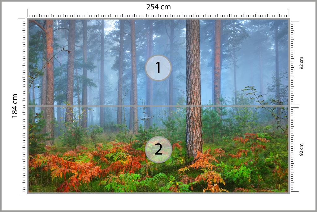 Fototapeta Les v mlze - samolepicí fototapeta 254x184