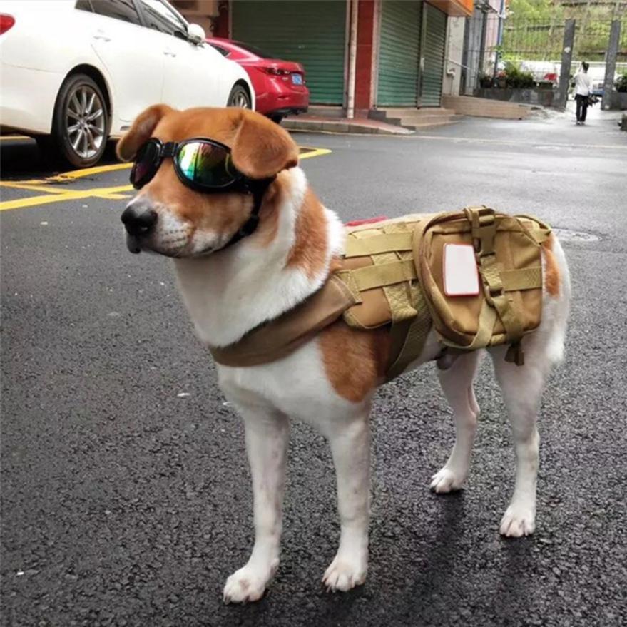 corgi tactical vest