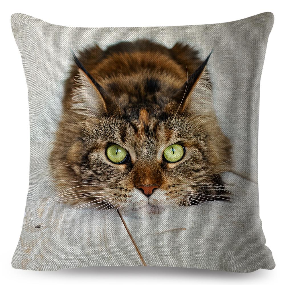 Maine Coon Cat Portrait Cushion Cover Realistic Animal Print Double Sided Soft Linen Home Decor Pillow Case