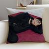 P-Ji Chang-Wook Cushion Cover Natural Linen Pillowcase Set, All-In-One Decor For Sofa, Bedroom & Chair