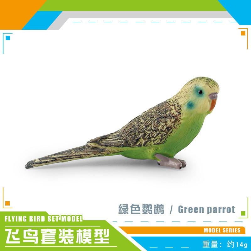 Exquisite Realistic Bird Models In Pvc Material Showcasing Colorful Parrots Owls And Songbirds