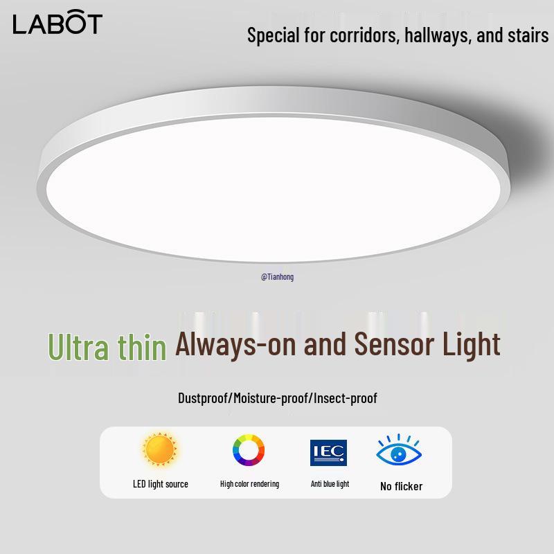 Smart Radar Sensor Ceiling Light with Voice Control for Balcony, Corridor, Stairwell, Hallway