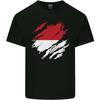 Torn Indonesia Flag Indonesian Day Football Unisexs Light Cotton TShirt
