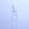3D Printed Movable Joint Skeleton Figurines Flexible High Human Bone Miniature Creative Fun Decoration Halloween Gifts