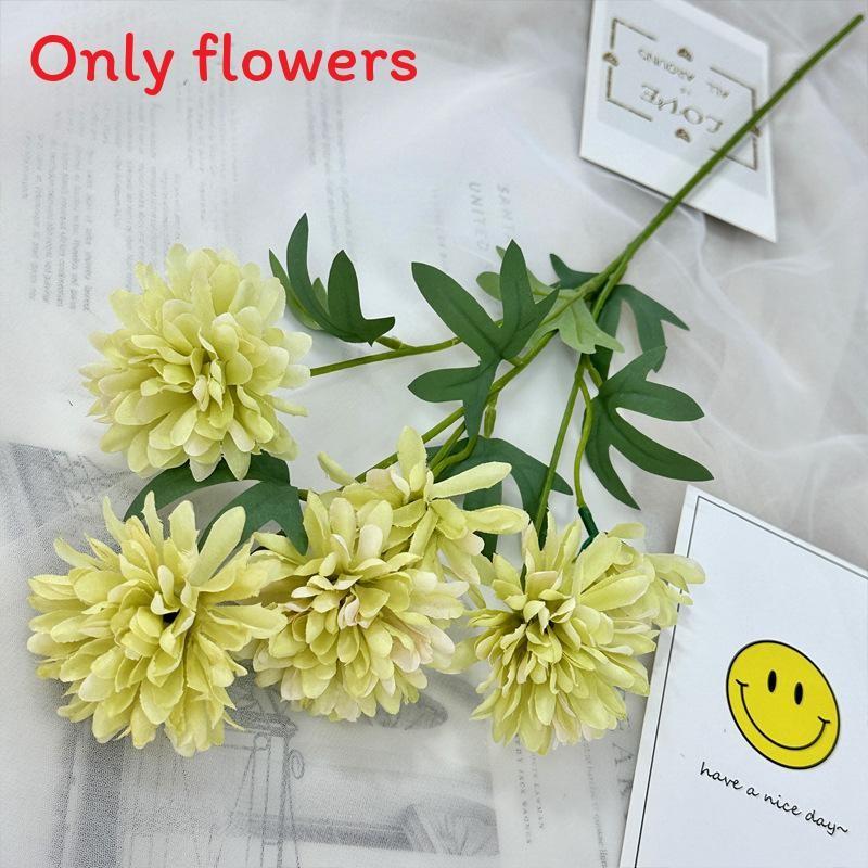 Realistic Fake Epaltes Australis Arrangement For Diy Home Decoration And Photography Props