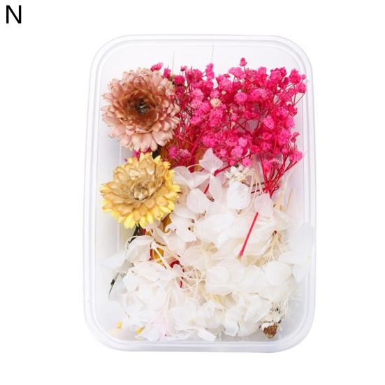 Artă populară Floare uscată Moale Vii Estetică