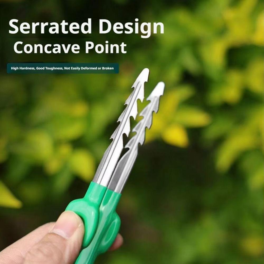 Stainless Steel Succulent Transplant Clip Multifunctional Plant Care Clip Daily Gardening
