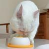 Anti-spill Dog Lick Plastic Non Tip Design Yogurt Licking Plate Bite Resistant Self-Soothing Pet Slow Feeder