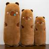 Plush Capybara Cute Toy Cartoon Animal Doll For Girls Gift Decoration Bedroom