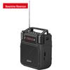 Newmine MS19 Wireless Amplifier with Handheld Microphone CN plug (adapter included)