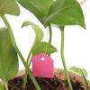 100pcs Garden Plant Labels PVC Nursery Garden Labels Hanging Plant Markers DIY Seedlings Labels for Plants Garden