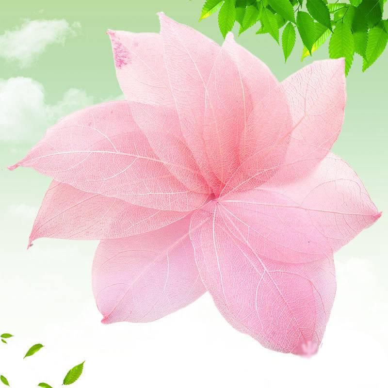 

Тиснение, тиснение, натуральный алмазный орнамент, аксессуары, чехол для телефона, материал ручной работы, 30 шт., сушеные цветы 4-9cm