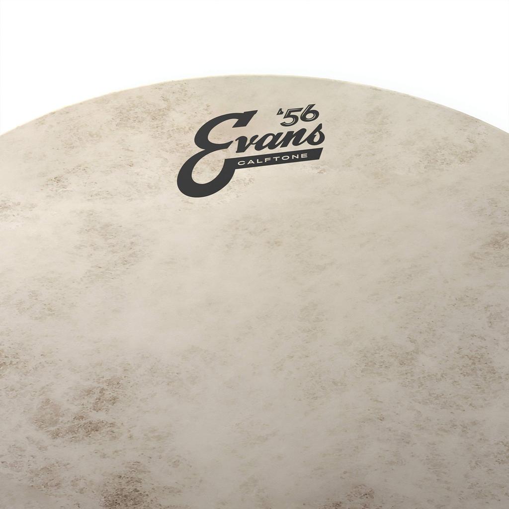 EVANS Evans drum head Calftone Tom Hoop TT16CT 16 inch