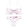 European and American Sexy Lingerie Transparent Mesh Embroidered Bra Set