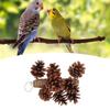 Birds Bite Toy Wooden Pine Cone Hanging Parrots Beak Grinding Toy with Metal Hook for Cage