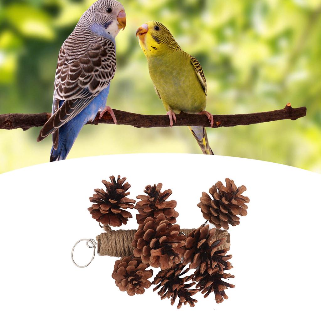 Birds Bite Toy Wooden Pine Cone Hanging Parrots Beak Grinding Toy with Metal Hook for Cage