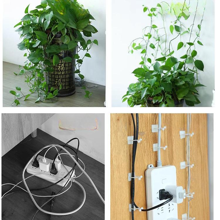 Grön Växtstöd Vinstock Växtvägg Klätterkrok Trådfäste Spänne Klättrande Vinstocksmönster Fästklämma