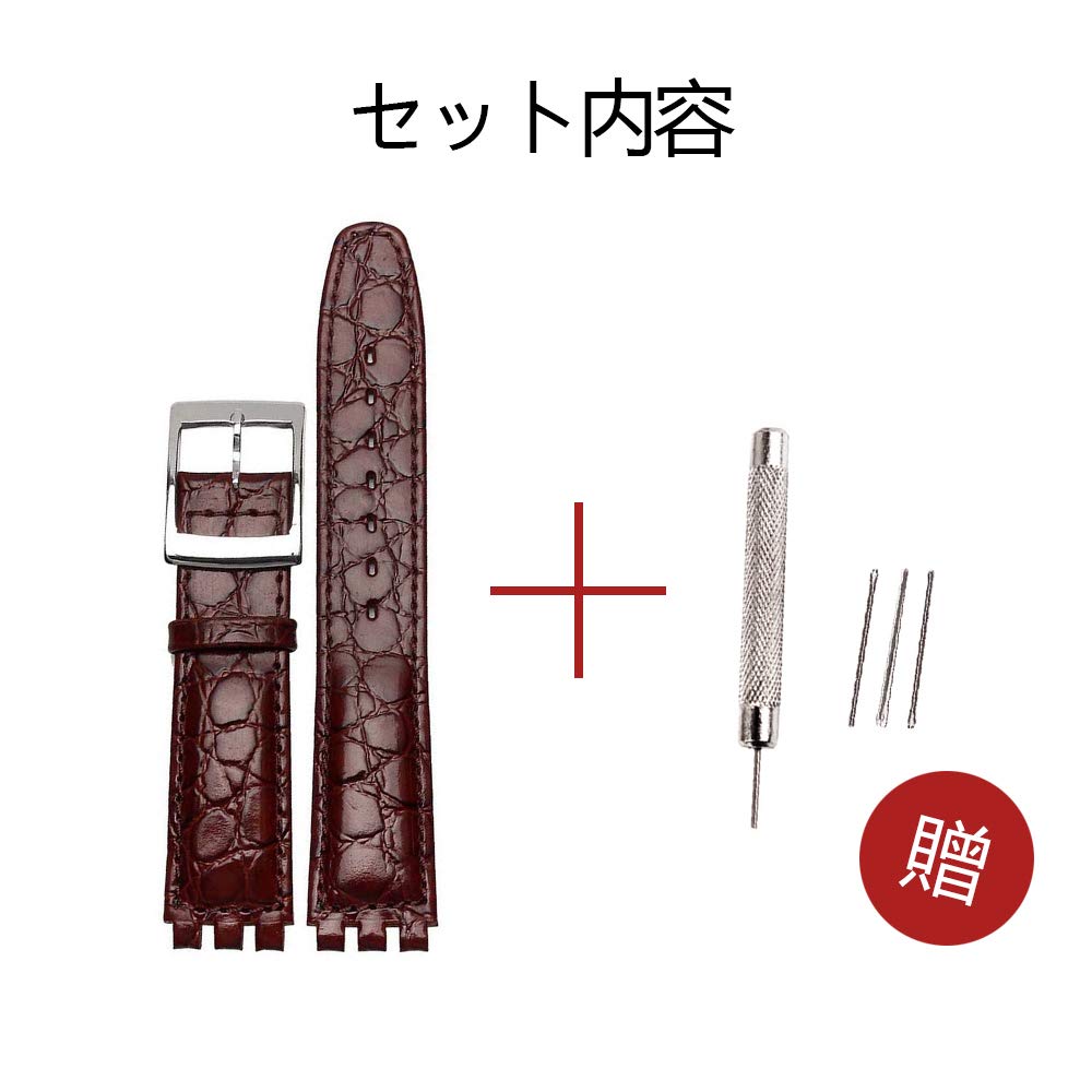 Chocoman Swatch Genuine Leather Watch Waterproof 3 Spring Spring Bar and Strap, 17mm/19mm Band, [Includes Bars, Remover, Box]