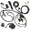 Wire Harness Stator Regulator Coil Kit Compatible with Yamaha YFZ450 YFZ450SPV YFZ450V 2006 for OffRoad Motorcycle Electrical S