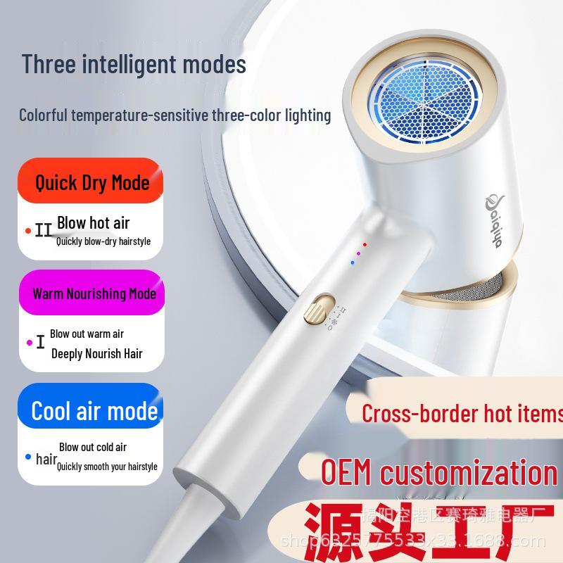 High Power Electric Hair Dryer with Blue Light Ion for Hair Care - Suitable for Salon, Hotel, or Home Use.