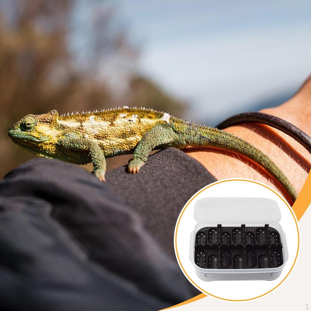 Reptilien Zuchtbox Ei 14 Fächer Behälter Zubehör Inkubator Fall für Geckos Schildkröte Eidechsen