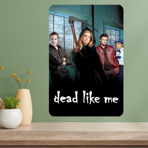 Dead Like Me Classic TV Show Metal Poster Sign 20x30cm(7.8x11.8inch)