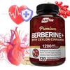 Berberin+ se cejlonskou skořicí 1200 mg Kapsle, 120 Kapslí