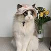 with Ear Holes Dog Sunscreen Hat Breathable Pet Visor Hat Fashion Cat Fisherman Hat  Summer Outing