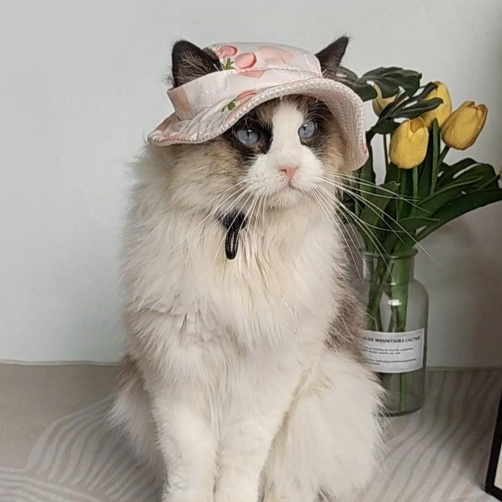 with Ear Holes Dog Sunscreen Hat Breathable Pet Visor Hat Fashion Cat Fisherman Hat  Summer Outing