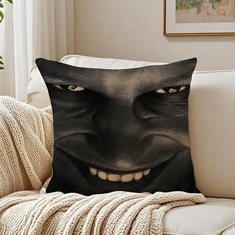 James Singer RRichard DDavid Cushion Cover Linen Pillowcase Soft  for Sofa Bed Home Room Decor