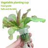 10Pcs Hydroponics Nursery Basket Seed Hydroponics Grow Pot Seed Planting Basket Garden Supplies Hydroponic Soilless Pot