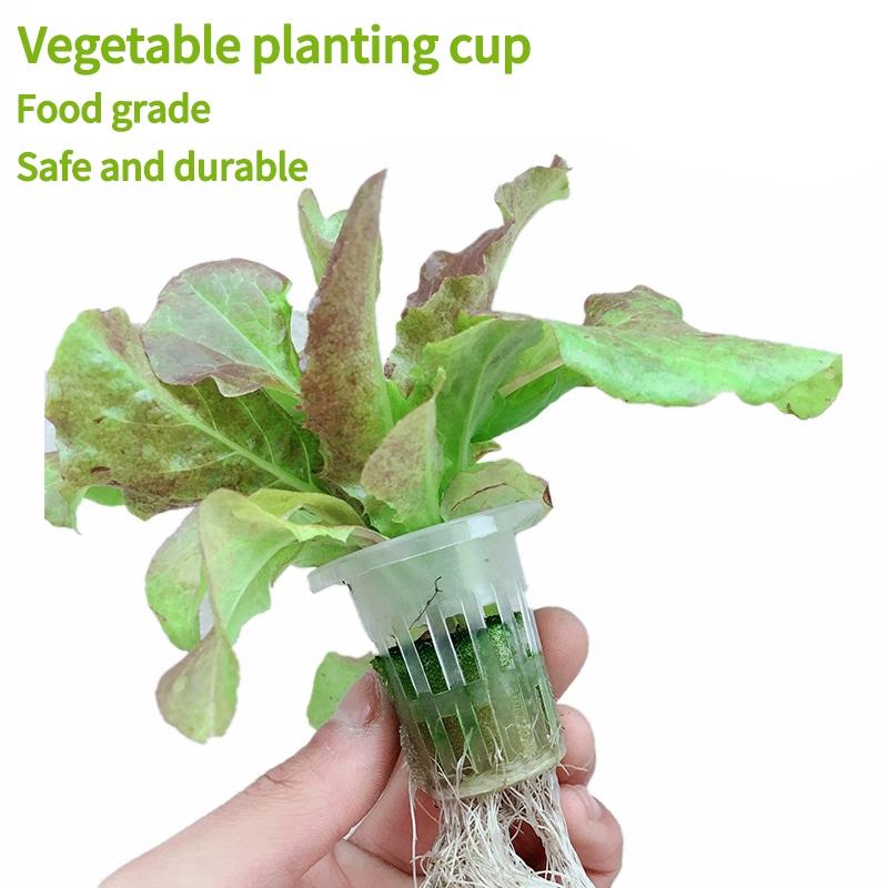 10Pcs Hydroponics Nursery Basket Seed Hydroponics Grow Pot Seed Planting Basket Garden Supplies Hydroponic Soilless Pot