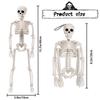 M-Moderní-1 kus Halloweenové kostry Dekorace Kostra celého těla s pohyblivými klouby Bílá