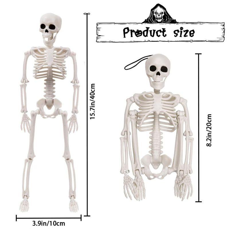M-Moderní-1 kus Halloweenové kostry Dekorace Kostra celého těla s pohyblivými klouby Bílá